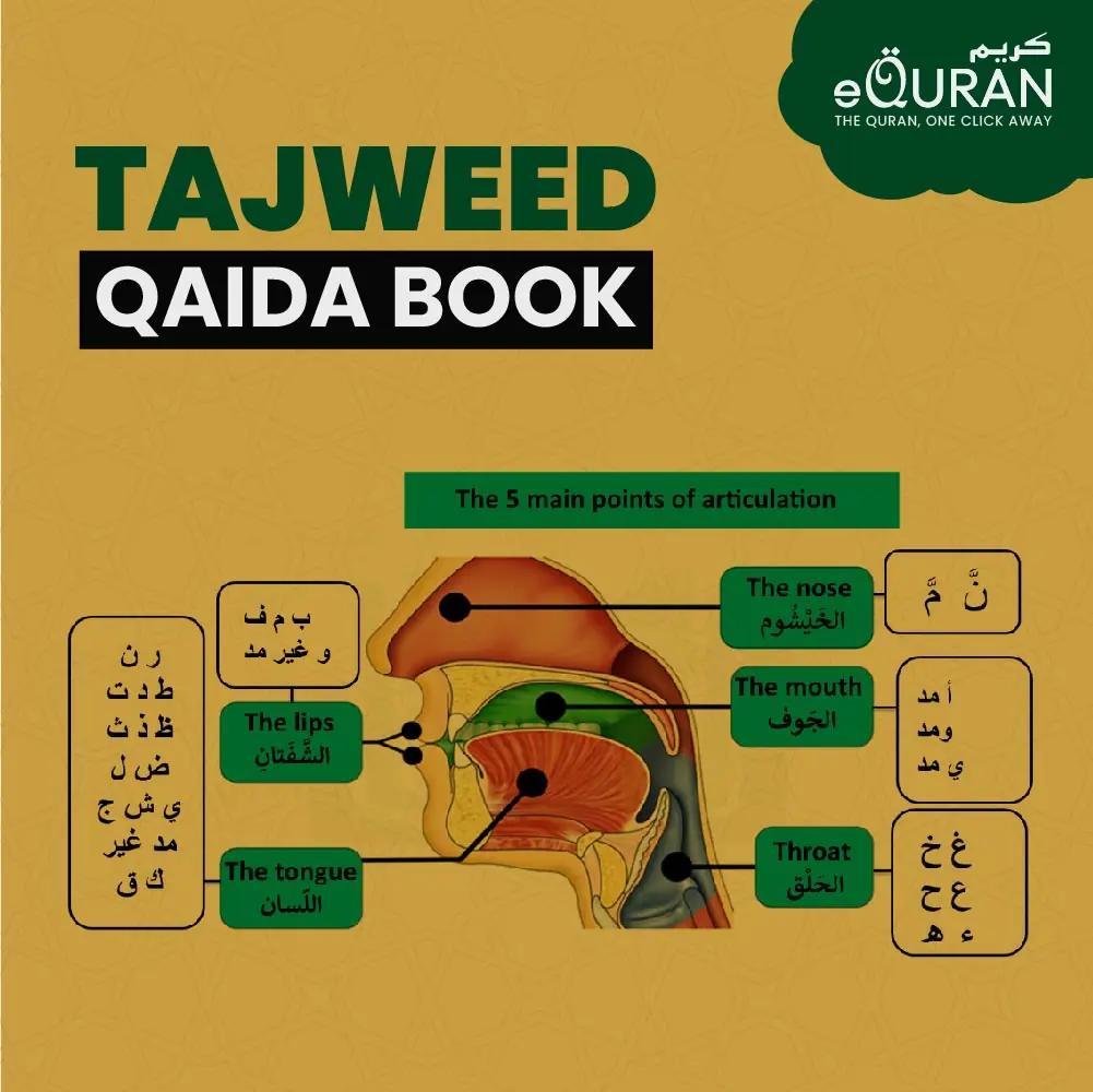 Tajweed Qaida Book