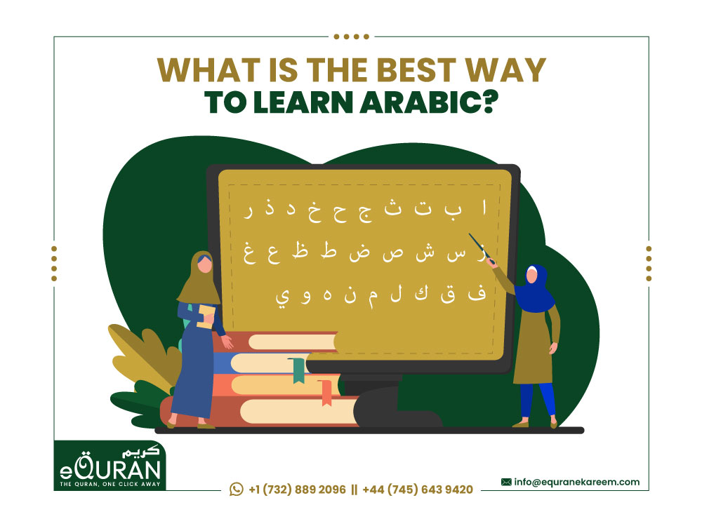 What is the best way to learn Arabic language by eQuranekareem